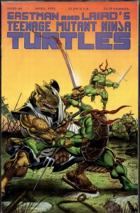 Teenage Mutant Ninja Turtles #46 (1992)