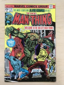 Man-Thing 19