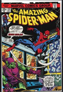 The Amazing Spider-Man #137 (1974) Spider-Man