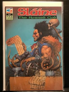 Slaine: The Horned God #5  (1993)