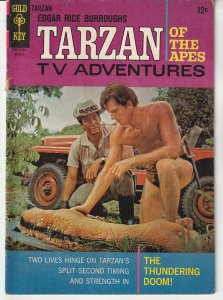 Tarzan(Dell) # 185   Ron Ely's Tarzan