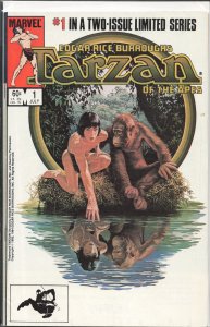 Tarzan of the Apes #2 (1984) Tarzan