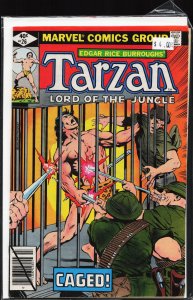 Tarzan #26 (1979) Tarzan