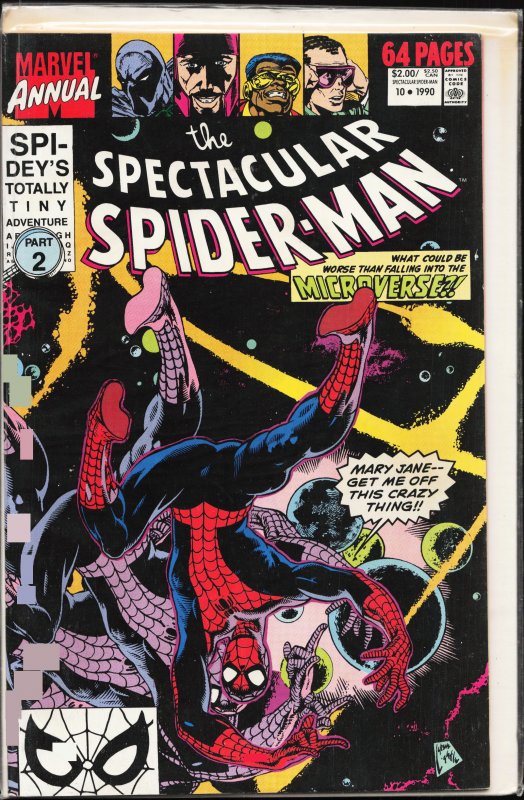 The Spectacular Spider-Man Annual #10 (1990) Spider-Man