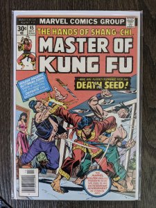Master of Kung Fu #45 (1976)
