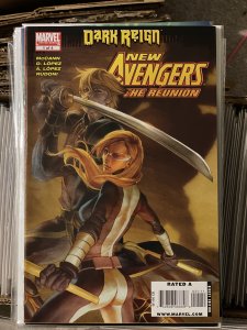 New Avengers: The Reunion #1 (2009)