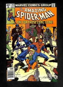 Amazing Spider-Man #202 Newsstand Variant Punisher!