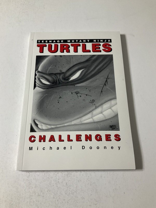 Teenage Mutant Ninja Turtles Challenges nn Nm Near Mint Mirage 