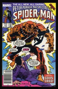 Peter Parker: Spider-Man #111 Newsstand Variant