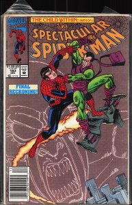 The Spectacular Spider-Man #183 (1991) Spider-Man
