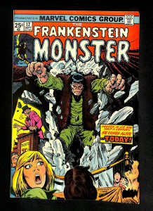 Frankenstein #12