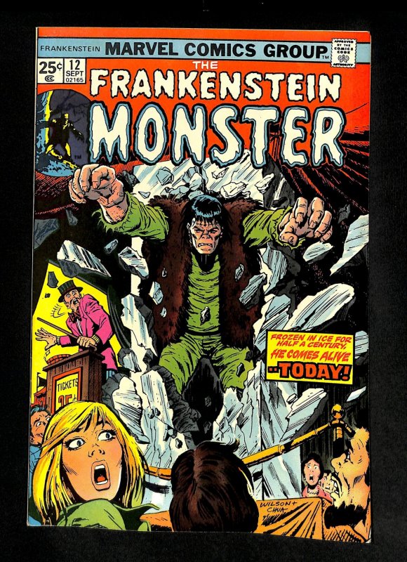 Frankenstein #12