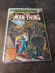 Man-Thing #12 (1974)