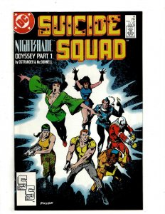 12 Suicide Squad DC Comics # 11 12 13 14 15 16 17 18 19 20 21 22 Batman HG3