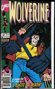 Wolverine #26 (1990) Wolverine