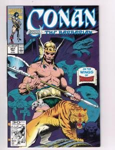 Conan the Barbarian (1970 Marvel) #251 Comic Book Cat-Men HH2