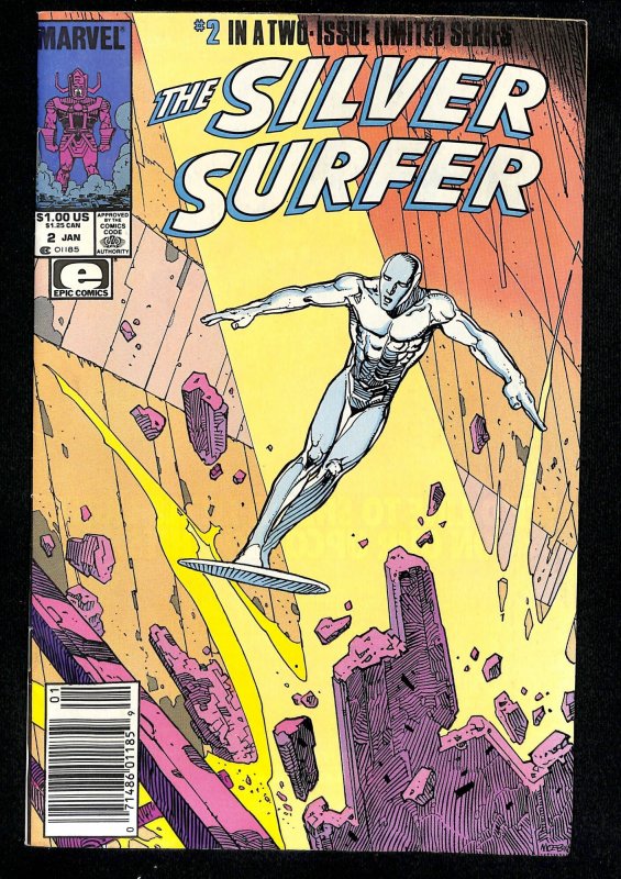 The Silver Surfer #2 (1989)