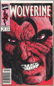 Wolverine #21 (1990) Wolverine