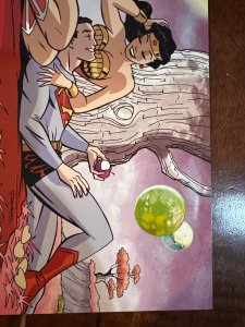 Superman/Wonder Woman #14 Variant Cover (2015)