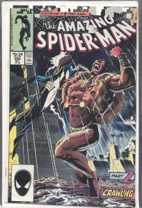 The Amazing Spider-Man #293 (1987) Spider-Man