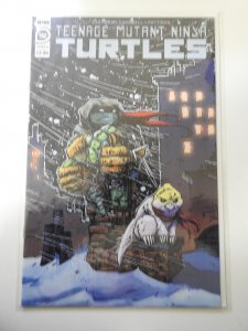 Teenage Mutant Ninja Turtles #102 Cover B