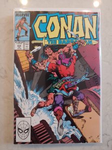 Conan the Barbarian #215 (1989)