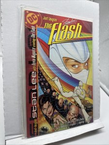 Just Imagine Stan Lee's the Flash DC Graphic Novel TPB Prestige Comic Book