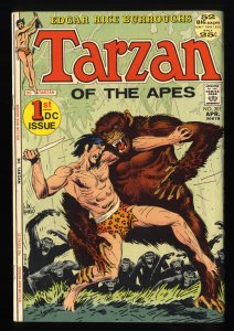 Tarzan #207 FN/VF 7.0