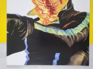 Avengers #36 Alex Ross Ghost Rider Timeless Variant 2020 Marvel Comics