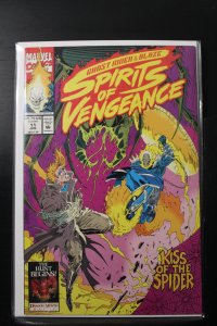 Ghost Rider/Blaze: Spirits of Vengeance #11 Direct Edition (1993)