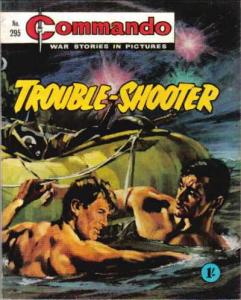 Trouble-Shooter