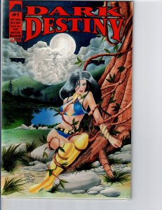 Dark Destiny (1994)