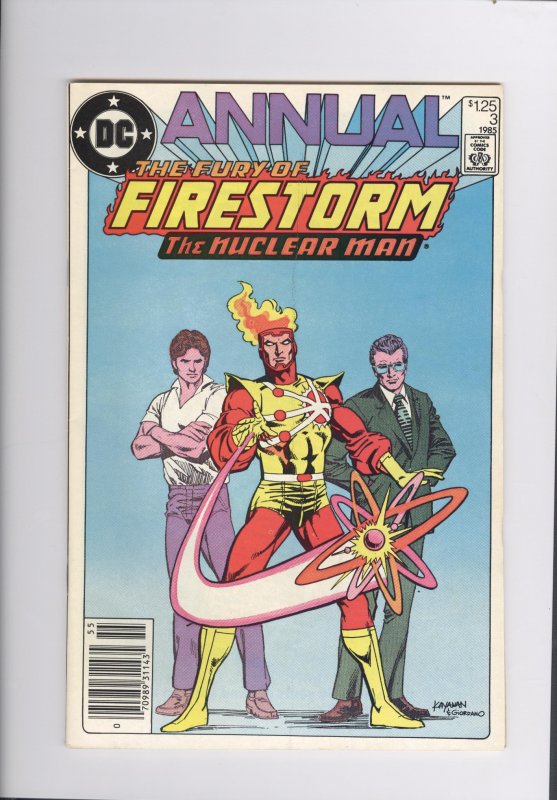 Fury of Firestorm Annual # 3