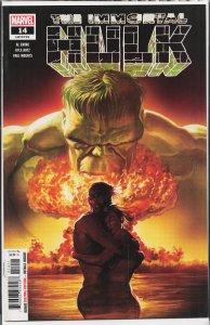 The Immortal Hulk #14 (2019) Hulk