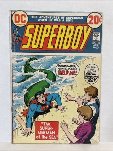 Superboy #194