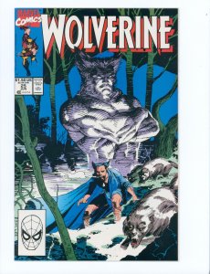 Wolverine #25 (1990)