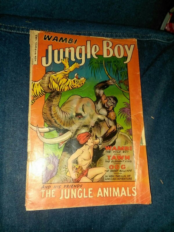 Wambi Jungle Boy 18 fiction house 1952 golden age precode maurice whitman cover