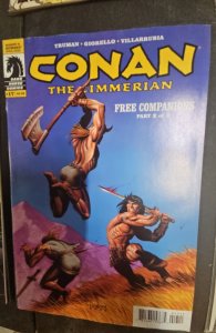 Conan the Cimmerian #17 (2010) Linsner