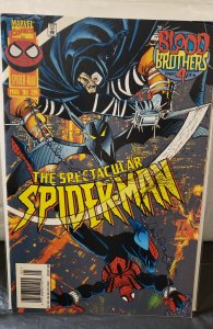 The Spectacular Spider-Man #234 (1996)