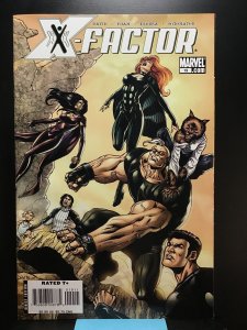 X-Factor #19 (2007)