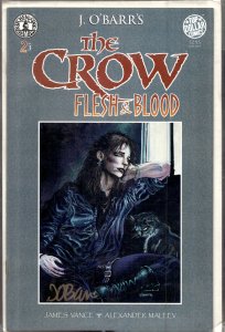 The Crow: Flesh and Blood #2 (1996) The Crow