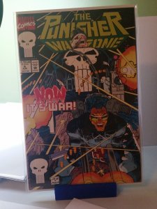 The Punisher: War Zone #6 (1992)