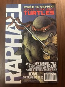 Teenage Mutant Ninja Turtles #4B VF/NM RI 1:5 Variant Kevin Eastman Cvr (2011)