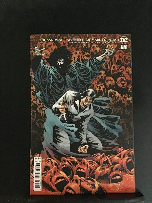 The Sandman Universe : Nightmare Country #1 Kelly Jones 1:25 Ratio