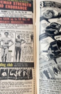 The X-Men #22 (1966)Divided we fall porcupine plant man