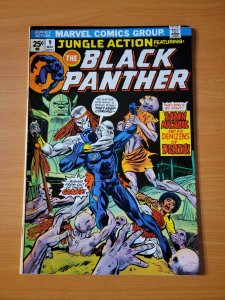 Jungle Action #9 Black Panther ~ NEAR MINT NM (Conserved) ~ 1974 Marvel Comics