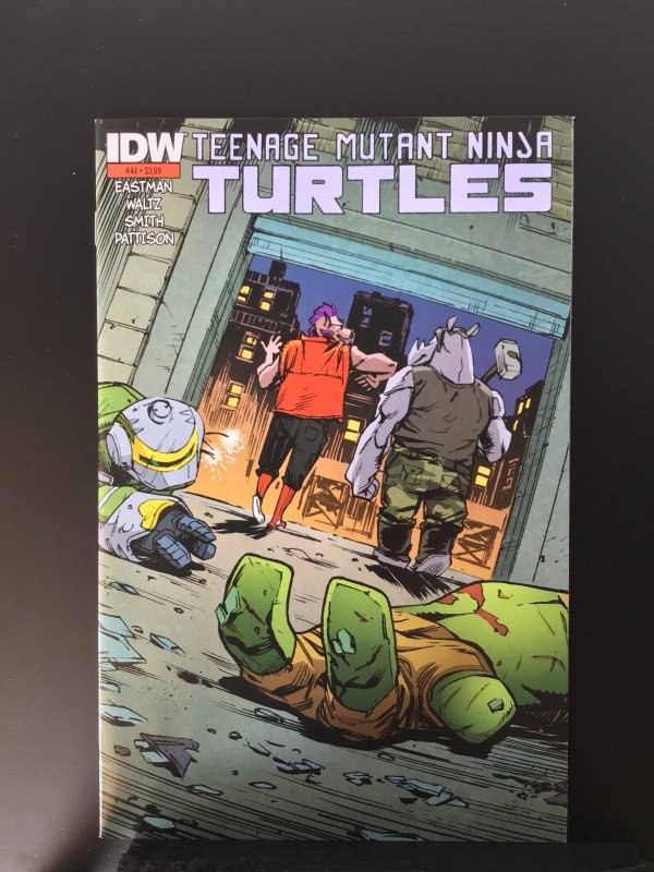 Teenage Mutant Ninja Turtles #44 Second Printing - Cory Smith Variant (2015)