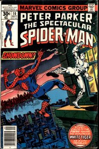 The Spectacular Spider-Man #10 (1977) Spider-Man