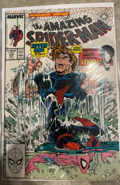 The Amazing Spider-Man #315 (1989) Spider-Man 