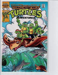 Teenage Mutant Ninja Turtles Adventures #17 (1991)